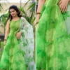 Prakriti Floral Print Organza Anarkali Set