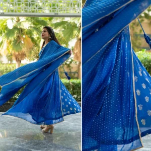Neelkanth Mukaish Georgette Anarkali Set